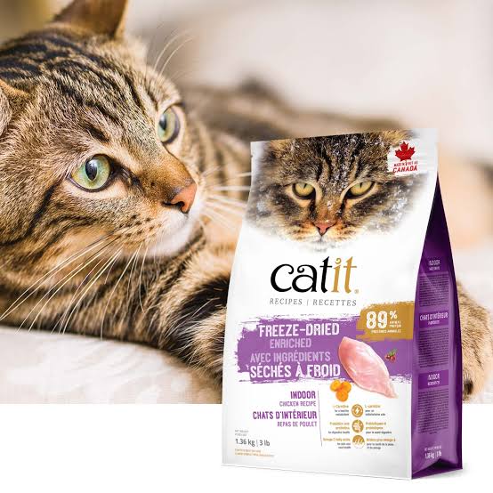 Catit Recipes
