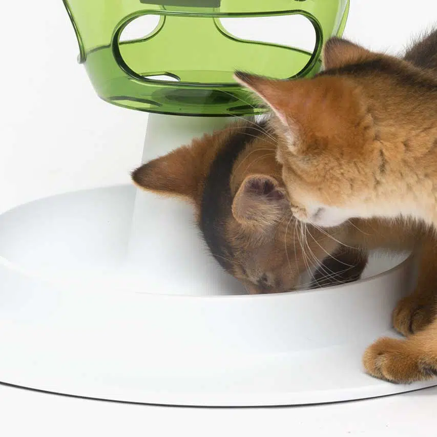 Catit Senses Food Tree