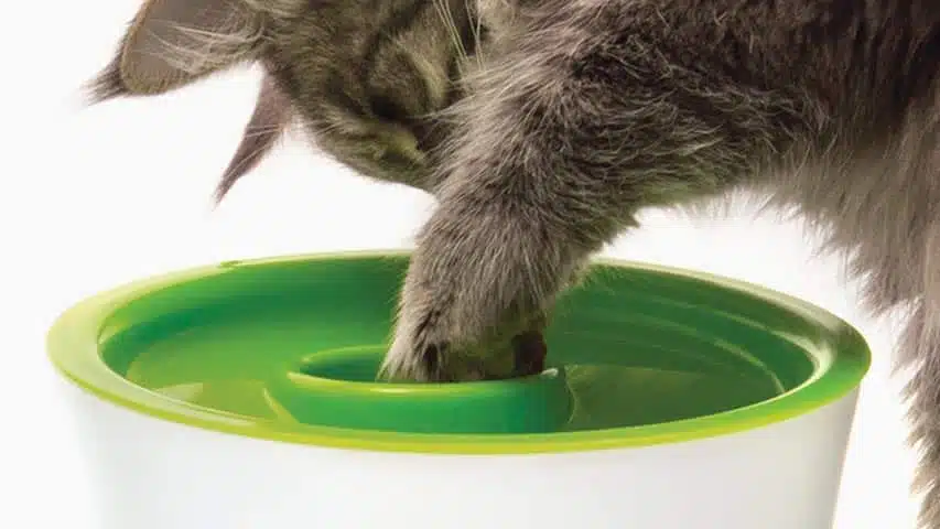 CATIT 2.0 MULTI FEEDER